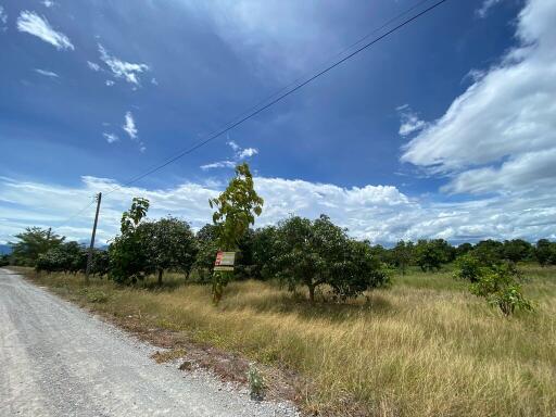 3,869 Sqm. Land listed for ฿ 559,000.