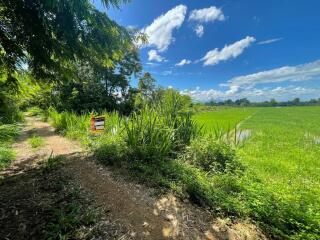 4,252 Sqm. Land listed for ฿ 500,000.