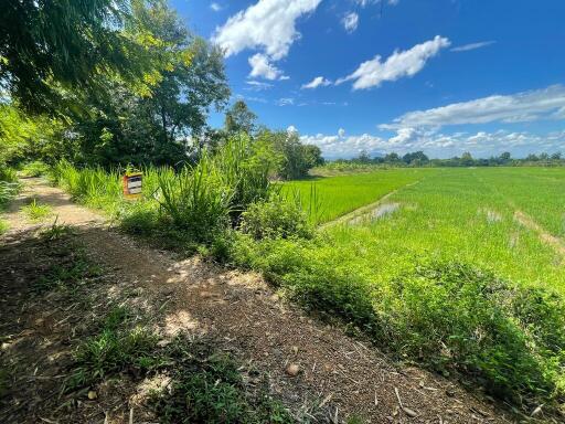 4,252 Sqm. Land listed for ฿ 500,000.