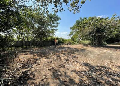 356 Sqm. Land listed for ฿ 533,000.