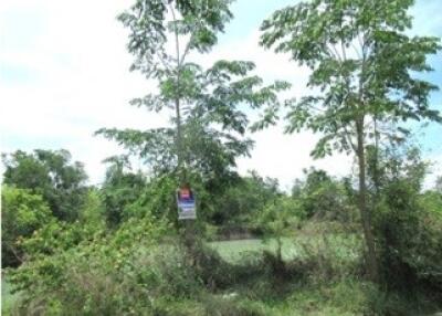 1,848 Sqm. Land listed for ฿ 532,000.