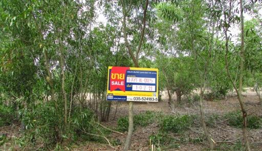 1,608 Sqm. Land listed for ฿ 528,000.