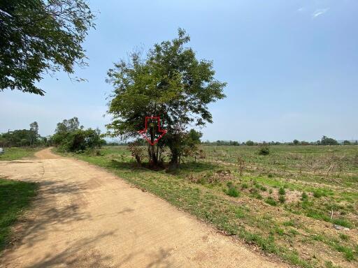 ที่ดิน บ้านกลาง ราคาพิเศษ!