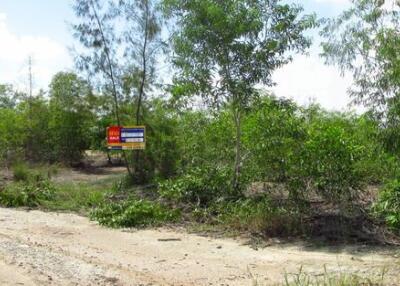 1,596 Sqm. Land listed for ฿ 524,000.
