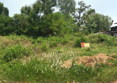 652 Sqm. Land listed for ฿ 514,000.