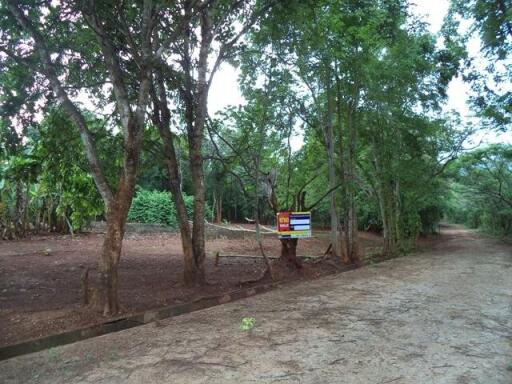 1,916 Sqm. Land listed for ฿ 503,000.