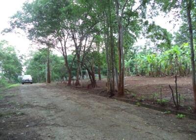 1,916 Sqm. Land listed for ฿ 503,000.