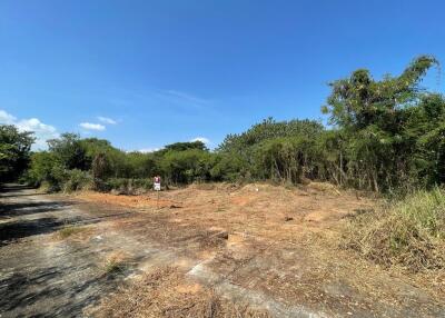 336 Sqm. Land listed for ฿ 503,000.
