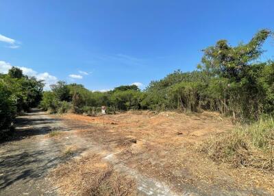 336 Sqm. Land listed for ฿ 503,000.
