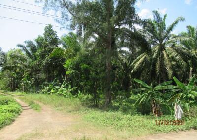 28,591 Sqm., 1 Bed, 1 Bath House listed for ฿ 9,740,000.