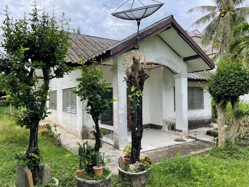 15,627 Sqm., 1 Bed, 1 Bath House listed for ฿ 9,097,000.