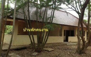 6,848 Sqm., 1 Bed, 1 Bath House listed for ฿ 8,679,000.