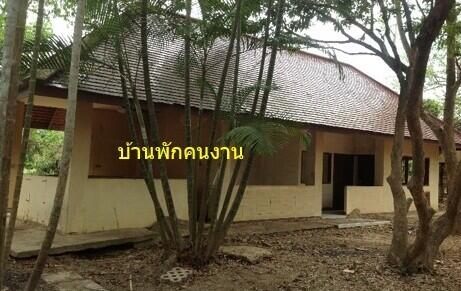 บ้าน แม่แฝกใหม่ ราคาพิเศษ!