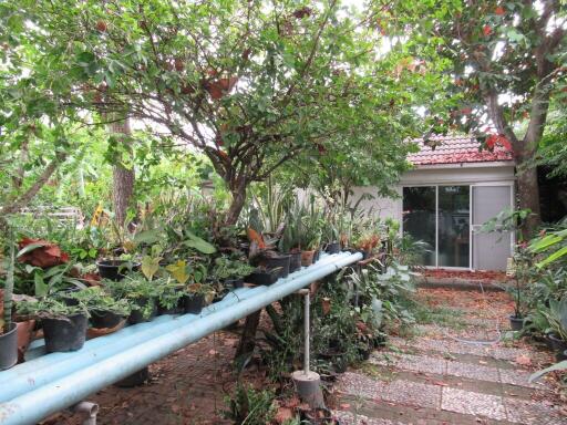 596 Sqm., 1 Bed, 1 Bath House listed for ฿ 4,576,000.