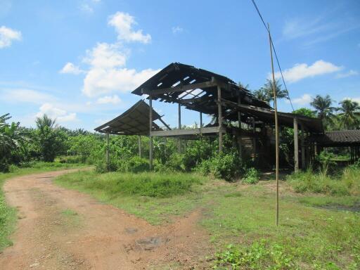 บ้าน ทุ่งหลวง ราคาพิเศษ!