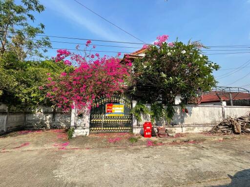 279 Sqm., 3 Beds, 3 Baths House listed for ฿ 2,613,000.