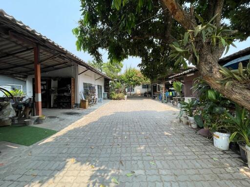 727 Sqm., 1 Bed, 1 Bath House listed for ฿ 2,527,000.