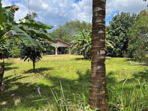 6,208 Sqm., 2 Beds, 1 Bath House listed for ฿ 2,470,000.