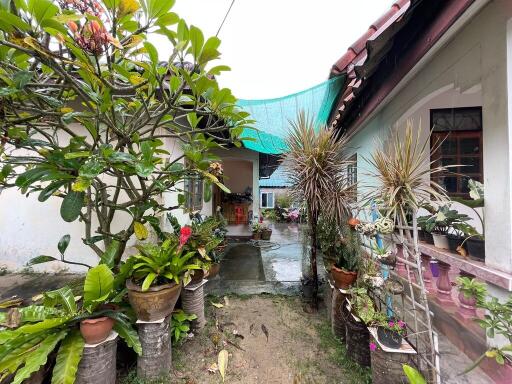310 Sqm., 1 Bed, 1 Bath House listed for ฿ 2,402,000.
