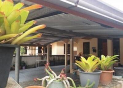 250 Sqm., 1 Bed, 1 Bath House listed for ฿ 1,900,000.