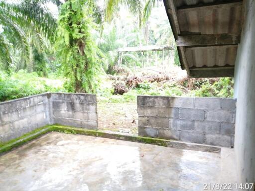 884 Sqm., 1 Bed, 1 Bath House listed for ฿ 1,519,000.