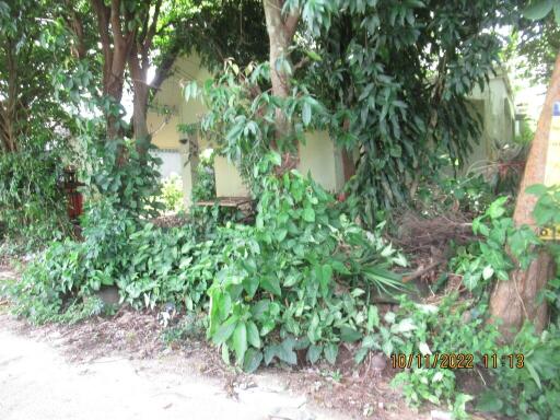 618 Sqm., 2 Beds, 1 Bath House listed for ฿ 1,480,000.