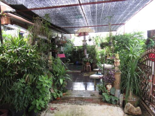 280 Sqm., 2 Beds, 1 Bath House listed for ฿ 1,261,000.