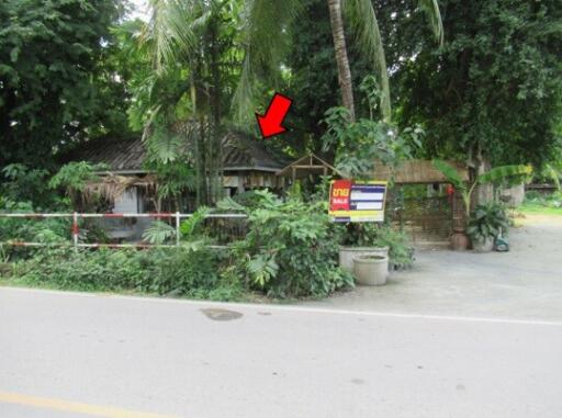 591 Sqm., 1 Bed, 1 Bath House listed for ฿ 948,000.