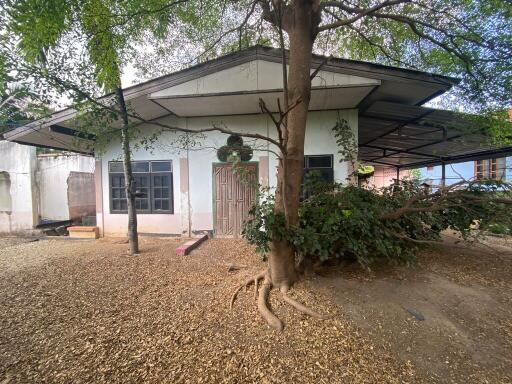 400 Sqm., 1 Bed, 1 Bath House listed for ฿ 860,000.