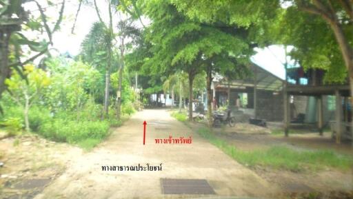 172 Sqm., 1 Bed, 1 Bath House listed for ฿ 802,000.