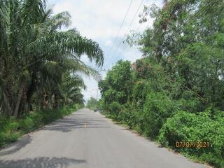 244 Sqm., 1 Bed, 1 Bath House listed for ฿ 723,000.