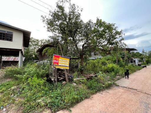 844 Sqm., 1 Bed, 1 Bath House listed for ฿ 649,000.