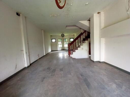 246 Sqm., 1 Bed, 1 Bath House listed for ฿ 526,000.