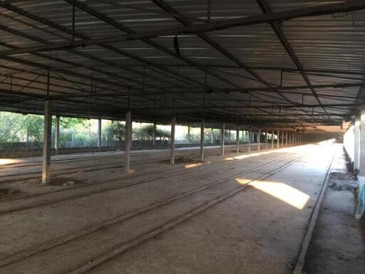 6,544 Sqm., 1 Bed Warehouse listed for ฿ 2,310,000.