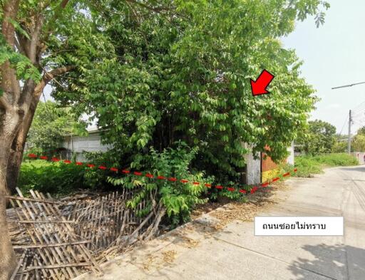 588 Sqm., 1 Bed Warehouse listed for ฿ 2,015,000.