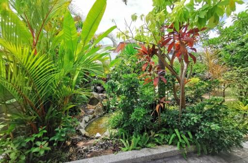 Lush tropical garden with diverse plants and small stream