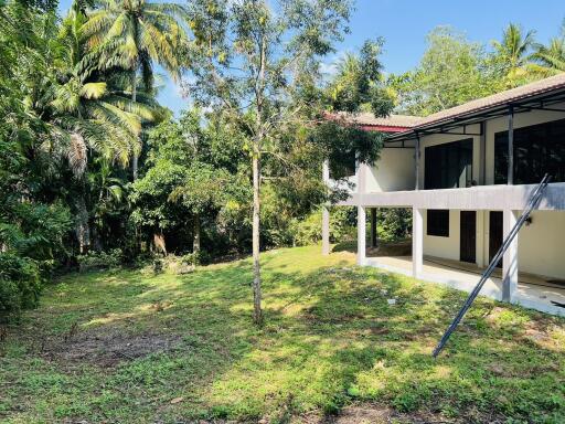 Peaceful house with spacious yard and mature trees