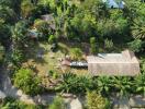 Aerial view of a residential property surrounded by lush greenery