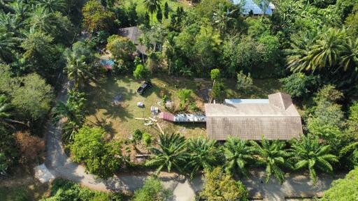 Aerial view of a residential property surrounded by lush greenery
