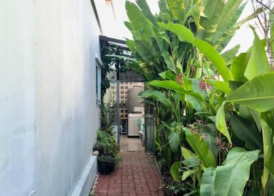 Lush green garden pathway leading to a cozy home