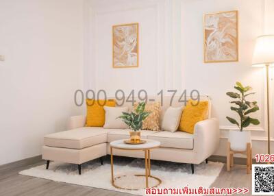 Well furnished modern living room with sofa and decorative artworks