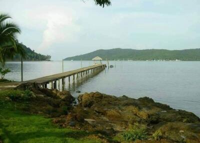 Scenic view of a lake with a long pier extending into the water surrounded by lush greenery
