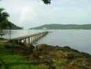 Scenic view of a lake with a long pier extending into the water surrounded by lush greenery