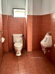 Clean bathroom with terra cotta tiles, equipped with toilet and urinal