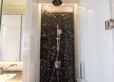 Modern bathroom with stylish black marbled shower