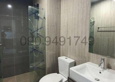 Modern Bathroom with Glass Shower and Elegant Sink