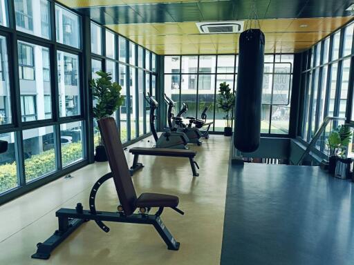 Modern gym interior with exercise equipment and large windows