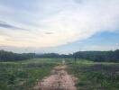 Scenic outdoor view of a vacant lot with a clear path and surrounding greenery