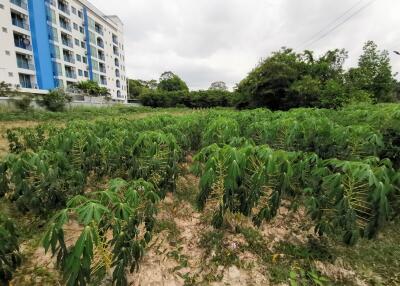 Green landscape near modern apartment building