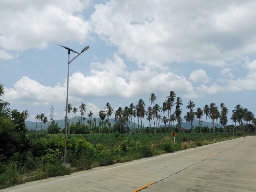 Scenic view of a paved road with lush greenery and solar-powered street lamp